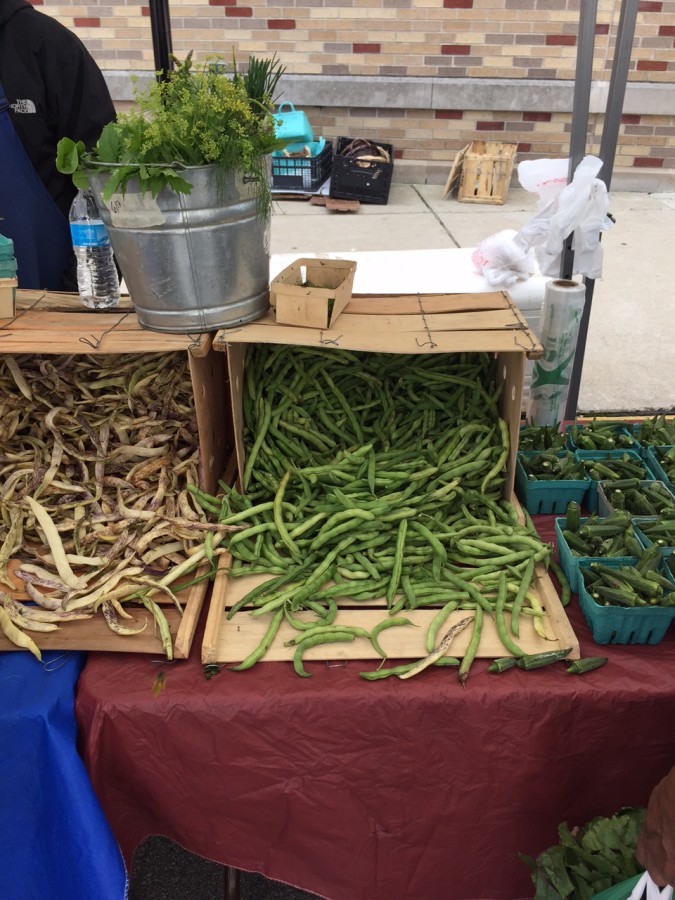 Dragon beans and green beans